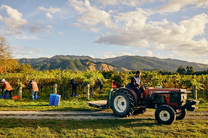 Gourmet Gold Winery Tour Marlborough - Full Day - Additional Information and Support