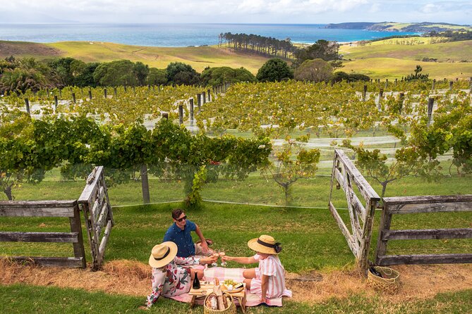 Gourmet Mystery Picnic Experience in Matakana - Additional Information About the Gourmet Mystery Picnic