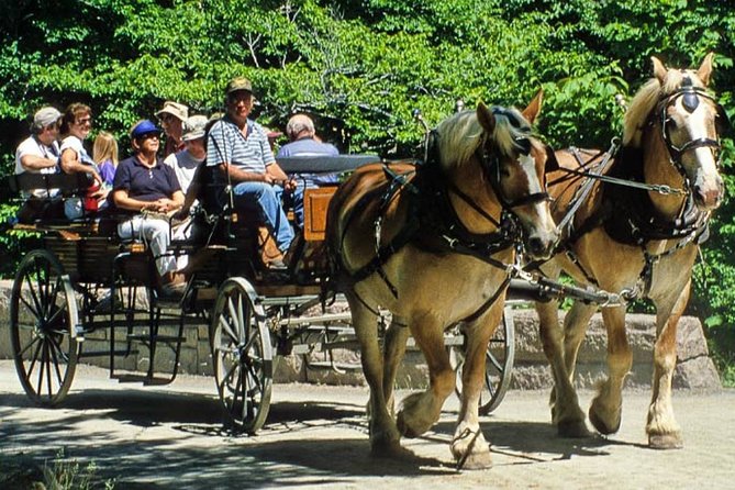 Gourmet Tour With Horse-Drawn Carriage & Optional Visit a Wildlife Observatory - Good To Know