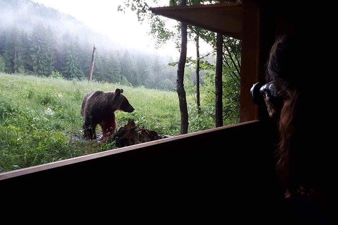 Gourmet Tour With Horse-Drawn Carriage & Optional Visit a Wildlife Observatory - Pickup Information