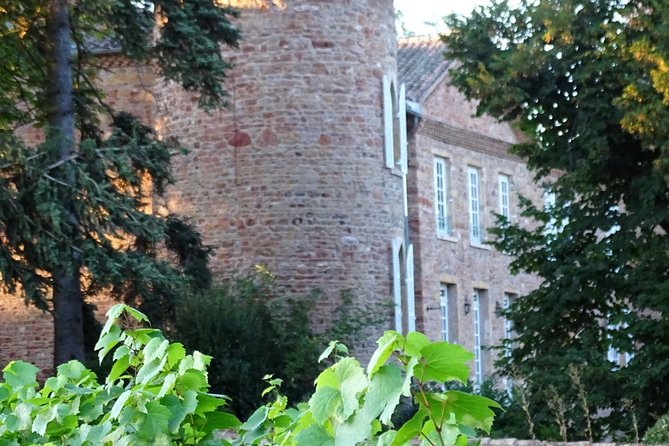 Gourmet Walk in the Gardens of Château Champ-Renard - Indulge in Gourmet Delights