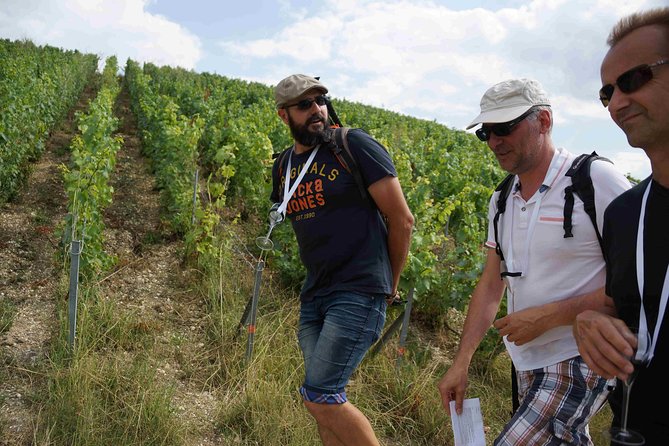 Gourmet Walk in the Heart of the Vineyards With Champagne Tasting Near Epernay - Duration and Highlights