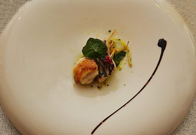 Gourmet Wine & Food Tour - Culinary Offerings