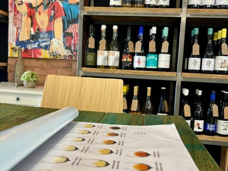 Gourmet Wine Tasting: Naturals and Biodynamics Wines. - Guided Tasting by Sommelier Martín Olivera