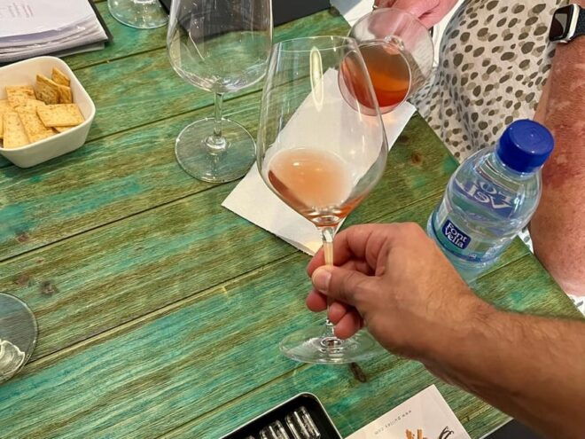 Gourmet Wine Tasting: Naturals and Biodynamics Wines. - Exceptional Wine Selection and Tasting Experience