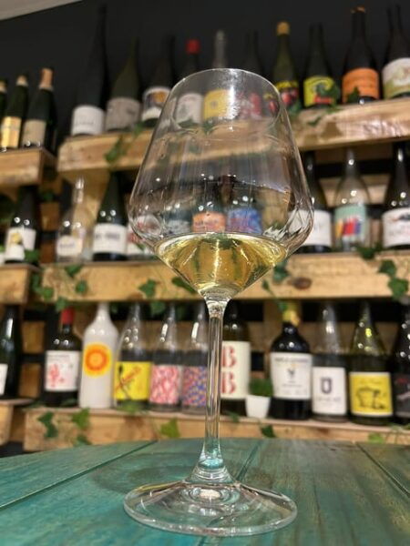 Gourmet Wine Tasting: Naturals and Biodynamics Wines. - Important Considerations and Guidelines