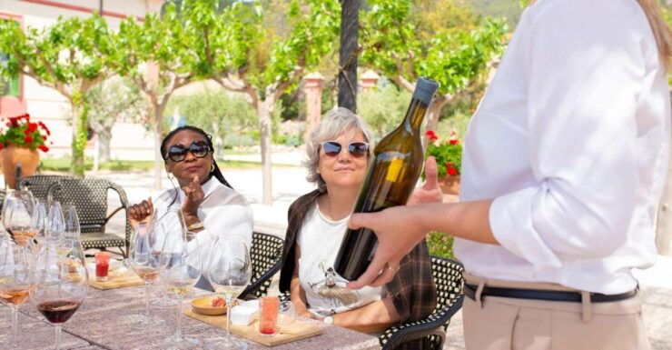 Gourmet Winery Tour: Wine Tasting and 8-Course Gourmet Menu - Booking and Cancellation Policy