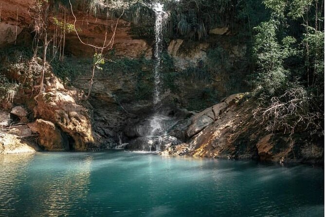 Gozalandia Waterfall and Nature Full Day Private Tour  - San Juan - Tour Itinerary