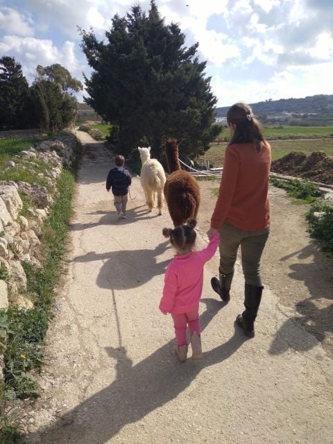 Gozo: Alpaca Walks and Farm Visit - Activity Details