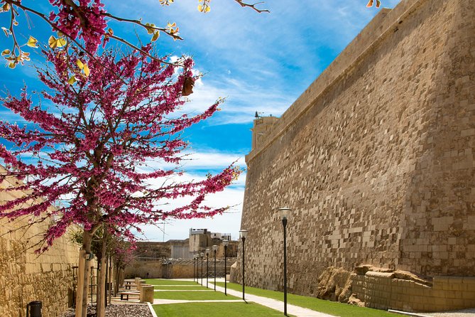 Gozo and Comino Islands: Blue Lagoon, Crystal Lagoon & Caves - Traveler Experiences