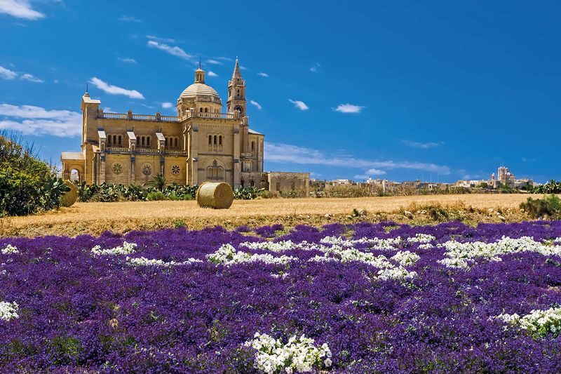 Gozo Island, Ggantija Temples, and The Citadel Day Tour - At a glance