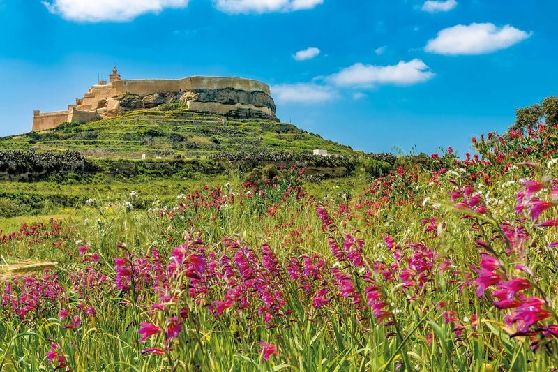 Gozo Island, Ggantija Temples, and The Citadel Day Tour - Victoria and the Citadel: markets below, views above