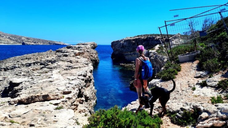 Gozo Unveiled: Guided Hiking in Comino Island - Good To Know