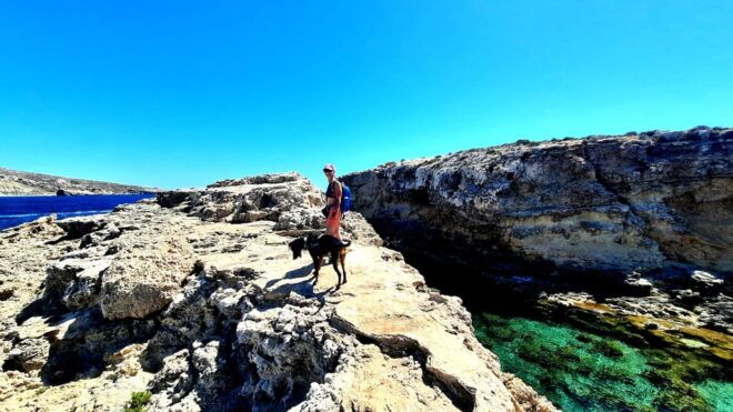 Gozo Unveiled: Guided Hiking in Comino Island - Important Information
