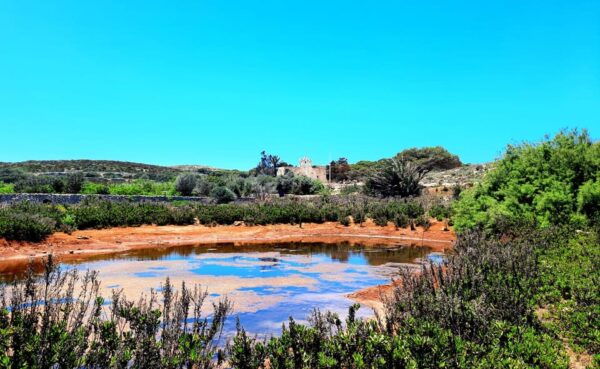 Gozo Unveiled: Guided Hiking in Comino Island - Frequently Asked Questions