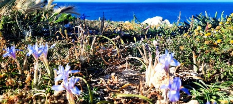 Gozo Unveiled: Guided Hiking in Gozo - North East - Final Thoughts