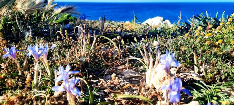 Gozo Unveiled Hiking: A Guided Hike tour in Gozo- North East - Practical Details and Tips