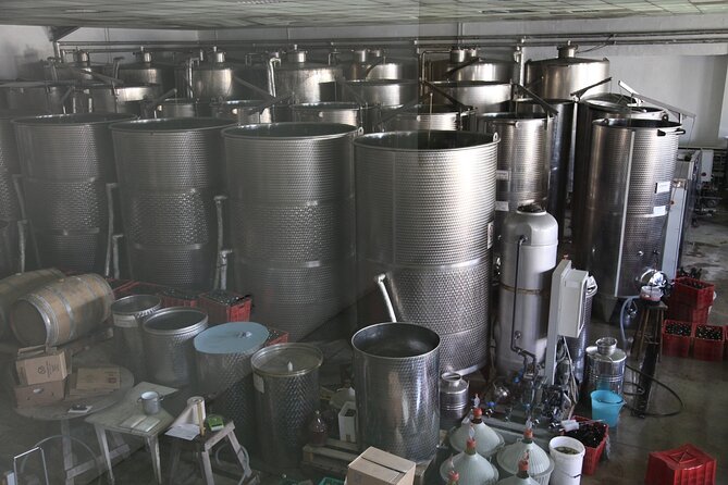 Gozo Wine and Food Tasting - Activity Overview