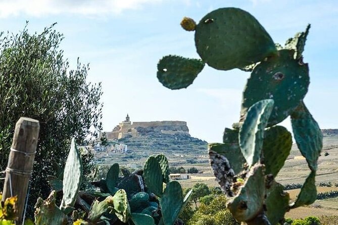 Gozo Wine and Food Tasting - Location Details