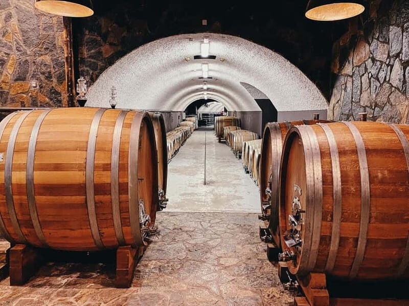 Graani: Winery Tour and Tasting at Winery Lipovac - How This Tour Fits Different Travelers