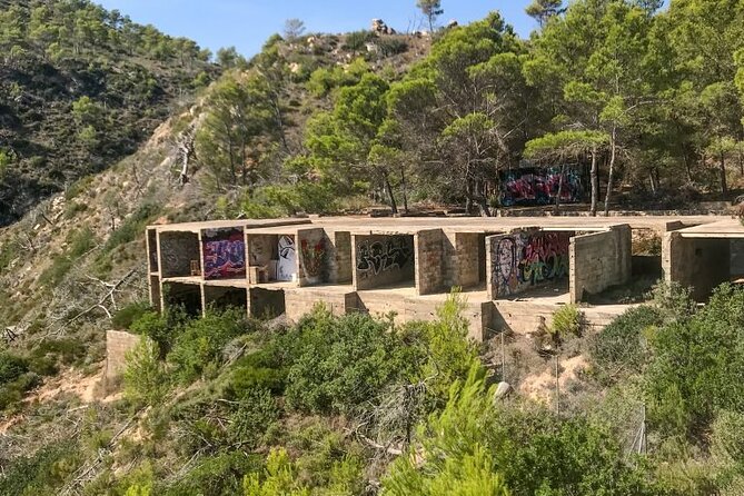 Graff and Snorkeling at the Beach - Additional Information and Contact Details