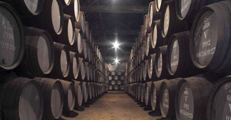 Grahams Port Lodge Tour & Premium Tasting With Pairings - Activity Details