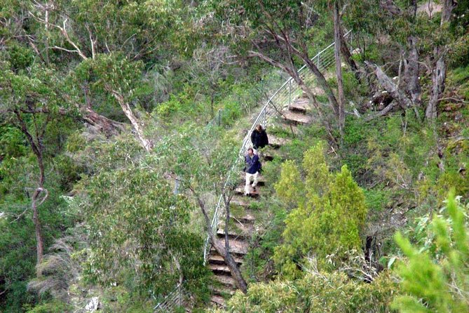Grampians & Halls Gap - Indigenous Culture at Brambuk Cultural Centre