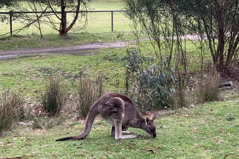 Grampians Hiking Day Tour - What the small group changes