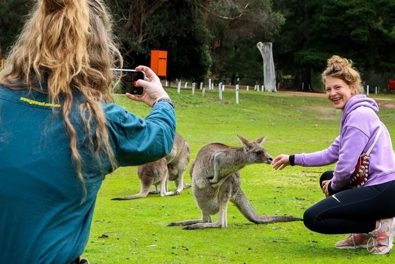 Grampians National Park Day Tour - Halls Gap: lunch, town time and a chance to reset