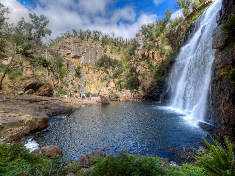 Grampians National Park Full Day Tour with Kangaroos - A full day, starting before the city wakes
