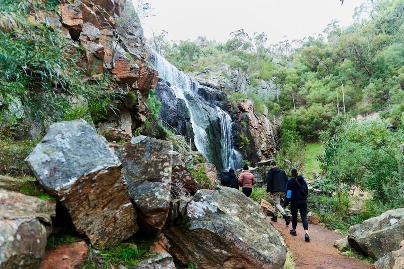 Grampians National Park Full Day Tour with Kangaroos - Halls Gap: lunch and a chance to look for wildlife