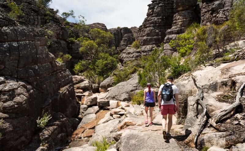 Grampians National Park Small-Group Eco Day Tour - What Makes the Tour Special  
