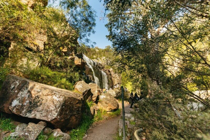 Grampians National Park Small-Group Eco Day Tour - Practical Tips for Future Travelers  