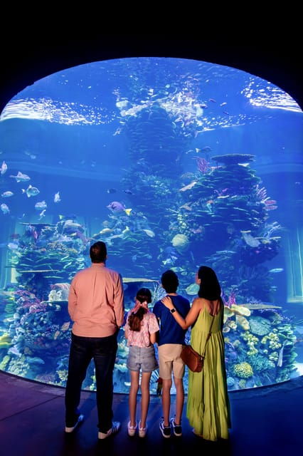 Gran Acuario Mazatlan - General Information