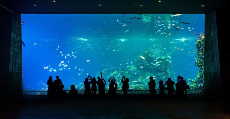 Gran Acuario Mazatlan - Ticket Prices