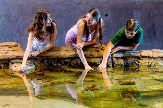 Gran Acuario Mazatlan - Accessibility
