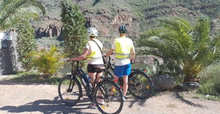 Gran Canaria: 1-7 Day E-Bike Rental 80 Km Battery Life - Experience Highlights