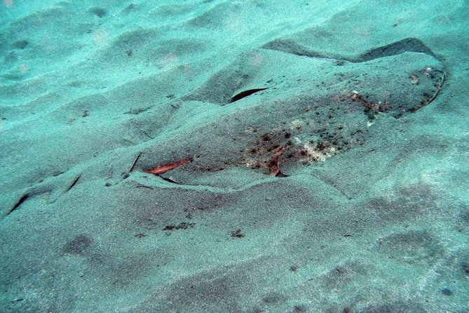 Gran Canaria: 2-Person SCUBA Diving Experience - Additional Information