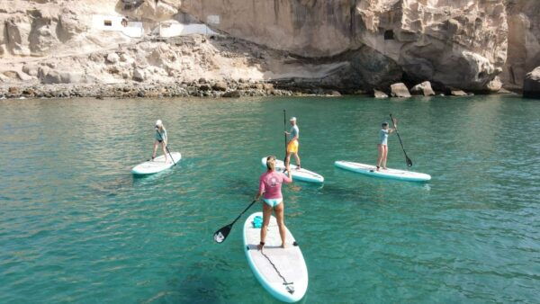 Gran Canaria : 2h Stand up Paddle Board Lessons - The Sum Up