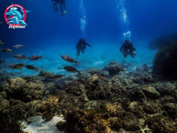 Gran Canaria: 3-Day Open Water Diver Course - Booking and Cancellation Policy