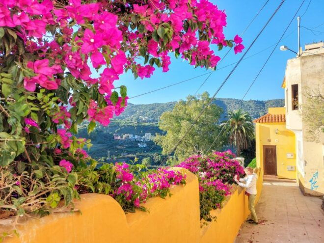 Gran Canaria 7 Highlights Small Group Tour With Tapas Picnic - Teror Town Discovery
