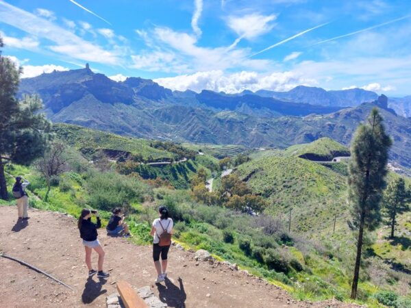 Gran Canaria 7 Highlights Small Group Tour With Tapas Picnic - The Sum Up