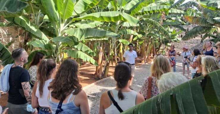 Gran Canaria: Banana Plantation Guided Tour & Tasting - Booking and Logistics