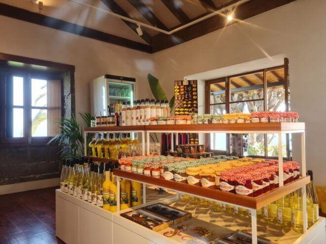 Gran Canaria: Banana Plantation Guided Tour & Tasting - Customer Reviews