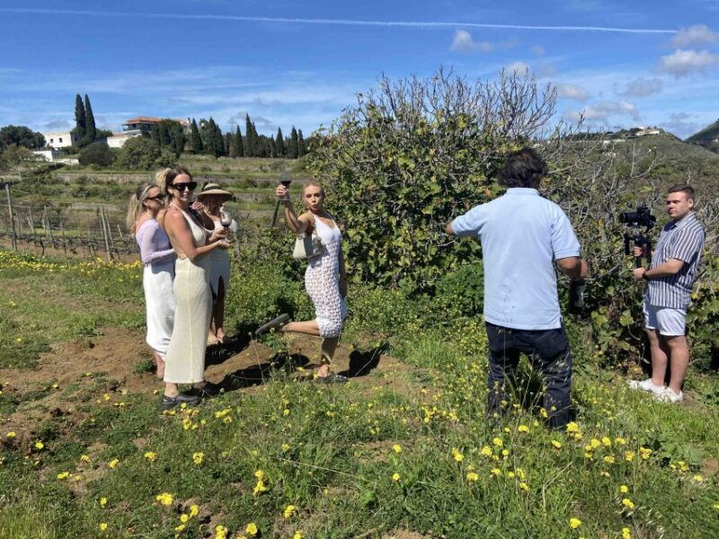 Gran Canaria: Best Wineries and Views Tour - Good To Know
