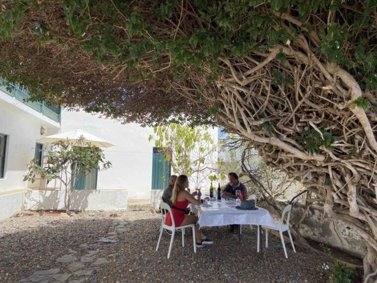 Gran Canaria: Best Wineries and Views Tour - Customer Reviews and Ratings
