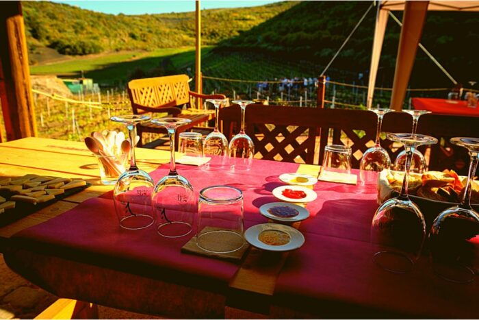 Gran Canaria: Best Wineries and Views Tour - Scenic Drives and Local Traditions