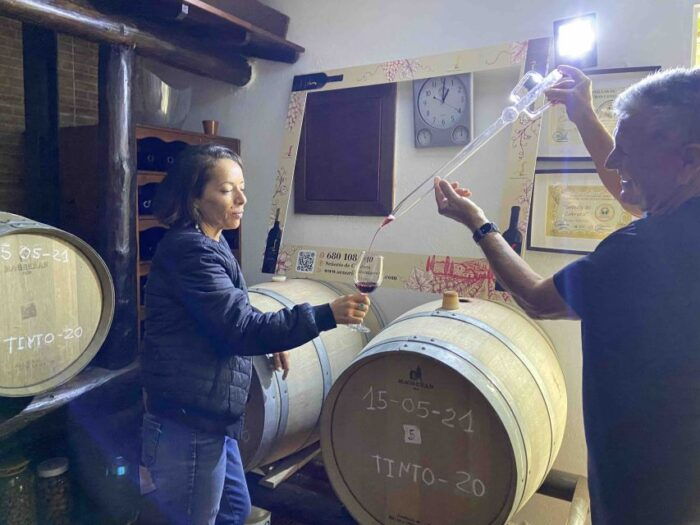 Gran Canaria: Best Wineries and Views Tour - Common Questions