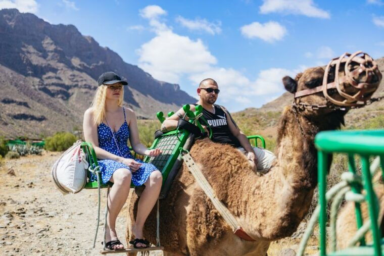 Gran Canaria: Camel Ride Safari W/ Optional Food & Transport - Pickup and Transportation