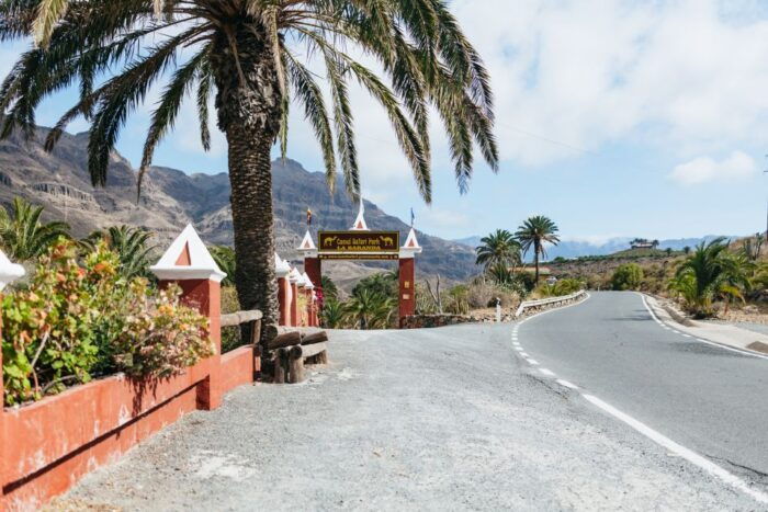 Gran Canaria: Camel Ride Safari W/ Optional Food & Transport - Advice for Preparing for the Camel Ride